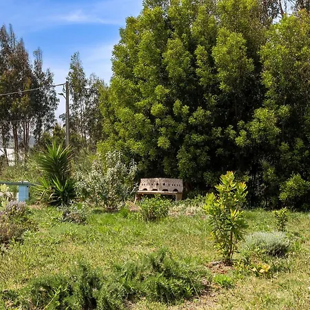 Cozy Retreat 3* Torres Vedras